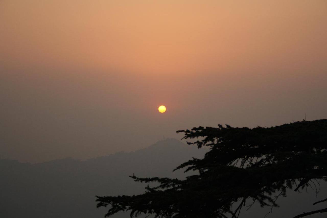 Honeymoon Inn Shimla Exteriör bild